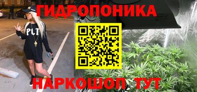 соль ск Кандалакша