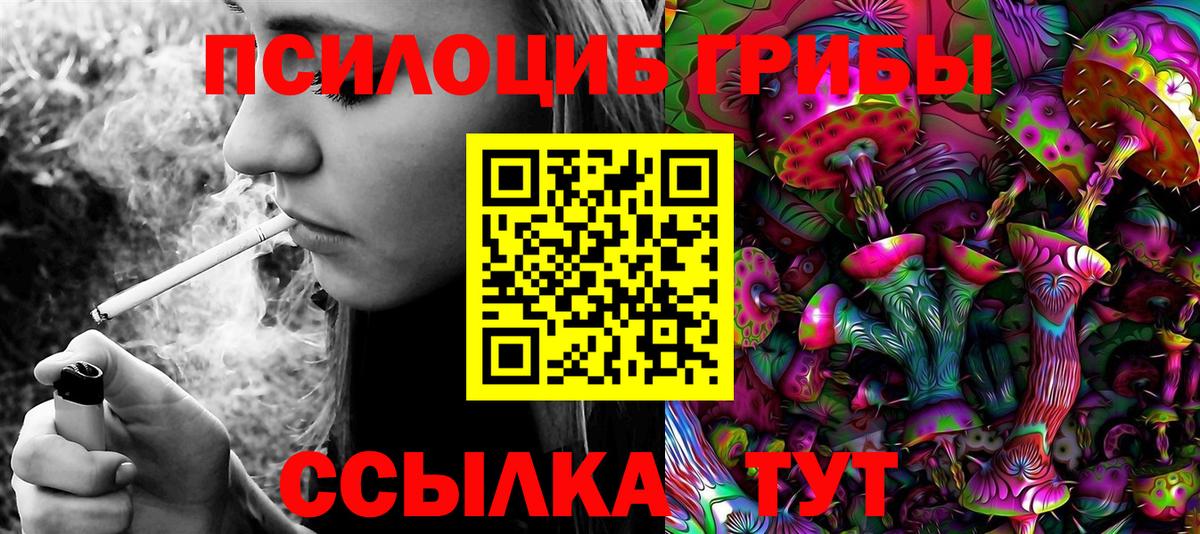 Псилоцибиновые грибы Cubensis Ростов Великий